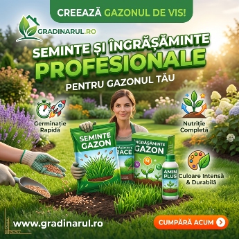 Gradinarul.ro - Produse pentru o gradina de poveste